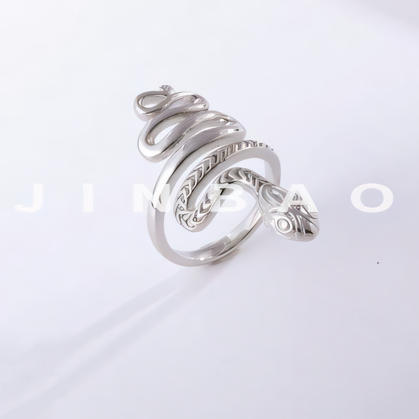 Gothic Snake Ring Stainless Steel Unique Fashion Ring for Women | G00516