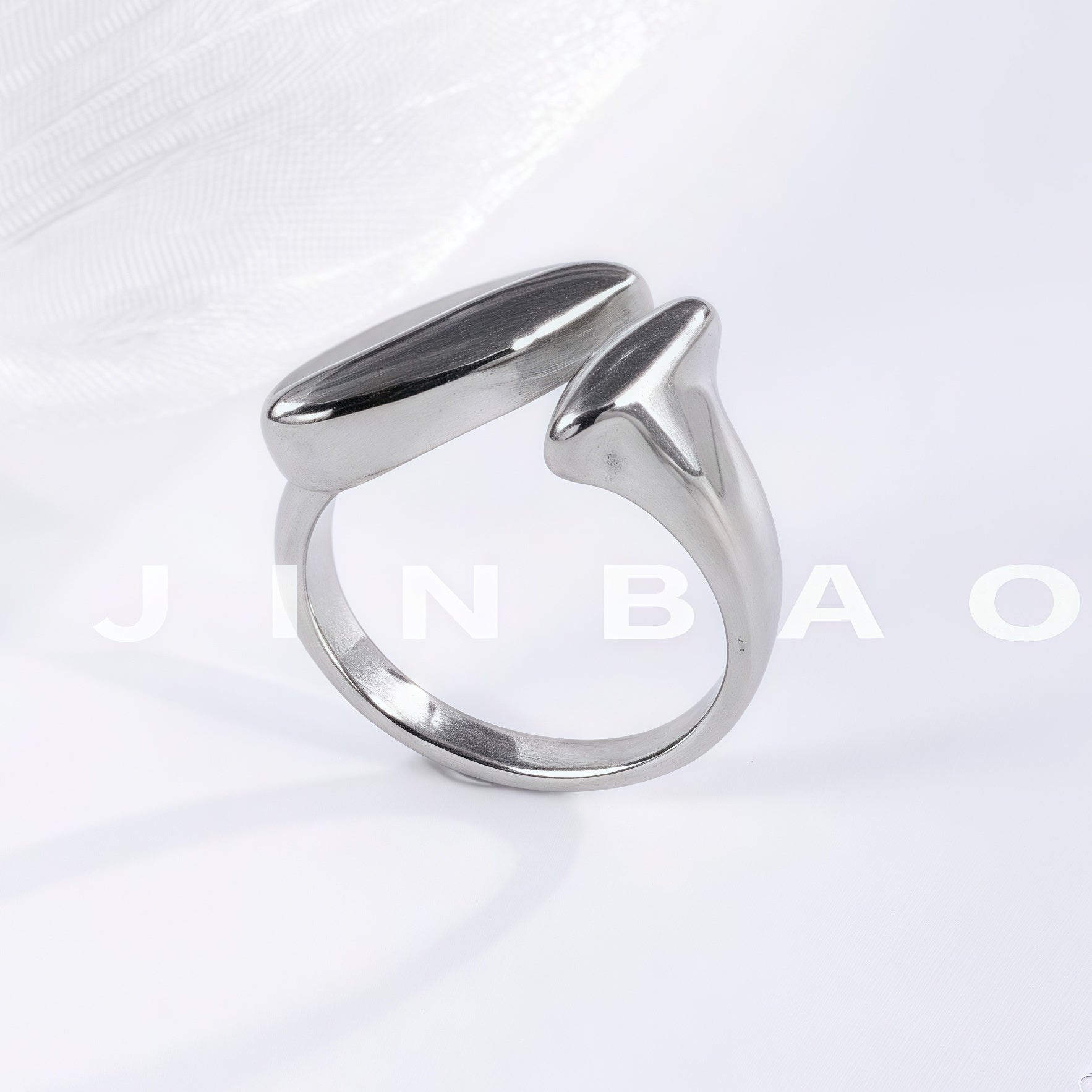 Modern Creative Stainless Steel Split Ring Women's Ring | N001047